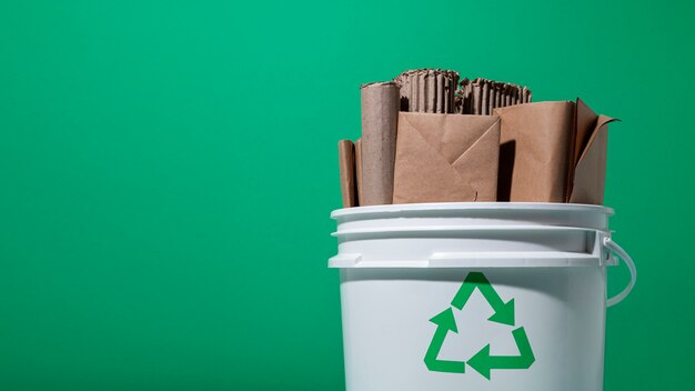 Understanding the benefits of bin rental services for effective waste management